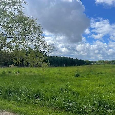 Gite Le Village Des Champs Soings-en-Sologne 外观 照片