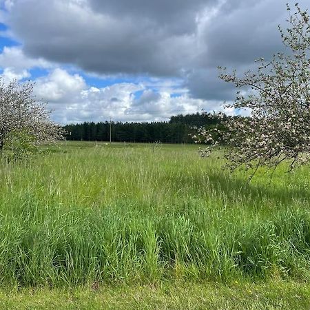 Gite Le Village Des Champs Soings-en-Sologne 外观 照片
