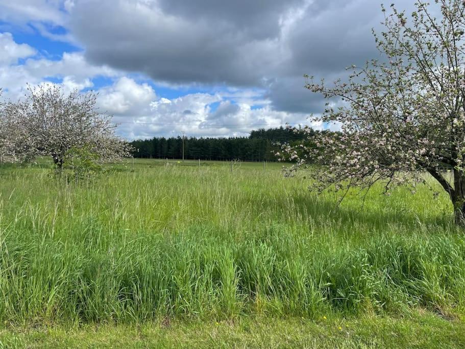 Gite Le Village Des Champs Soings-en-Sologne 外观 照片